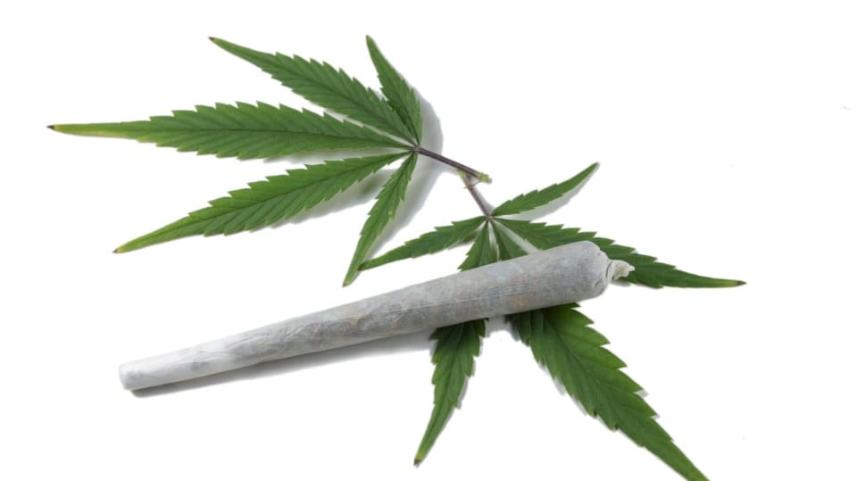 Za co všechno může marihuana?